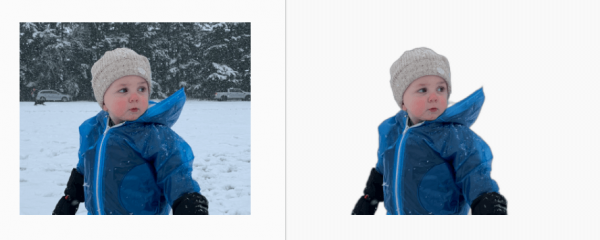 Before and After background Removal Before and After background Removal