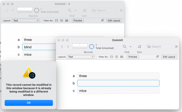 Record Locking multi window record locking 2