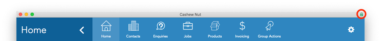 FileMaker Pro window highlighting SSL lock icon FileMaker Pro window highlighting SSL lock icon